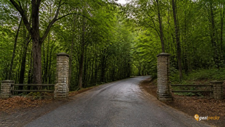 Belgrad Ormanı Tanıtımı