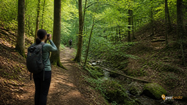 Belgrad Ormanı Tanıtımı