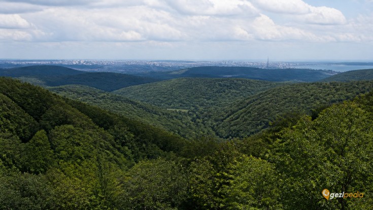 Belgrad Ormanı Tanıtımı