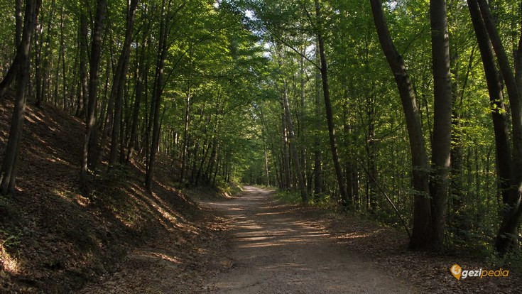 Belgrad Ormanı Tanıtımı