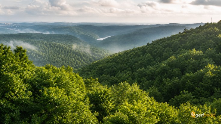 Belgrad Ormanı Tanıtımı