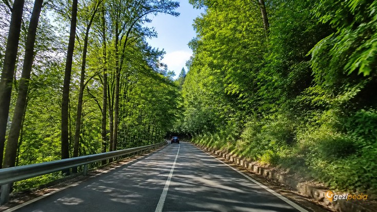 Belgrad Ormanı Tanıtımı