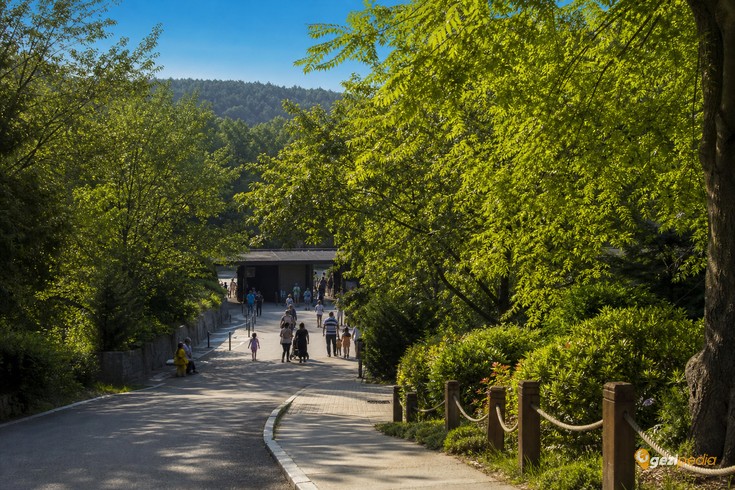 Darıca Hayvanat Bahçesi