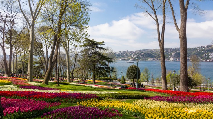 Emirgan Korusu Tanıtımı