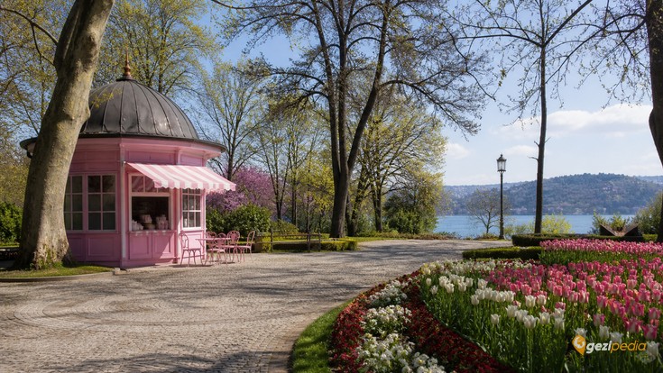 Emirgan Korusu Tanıtımı