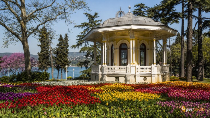 Emirgan Korusu Tanıtımı