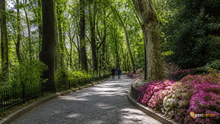 Emirgan Korusu Tanıtımı