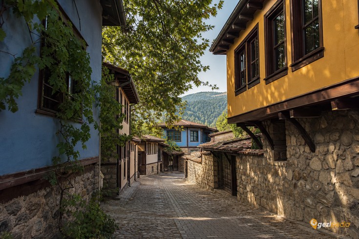 Bursa Misi Köyü