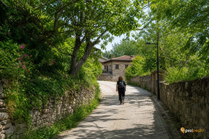 Bursa Misi Köyü