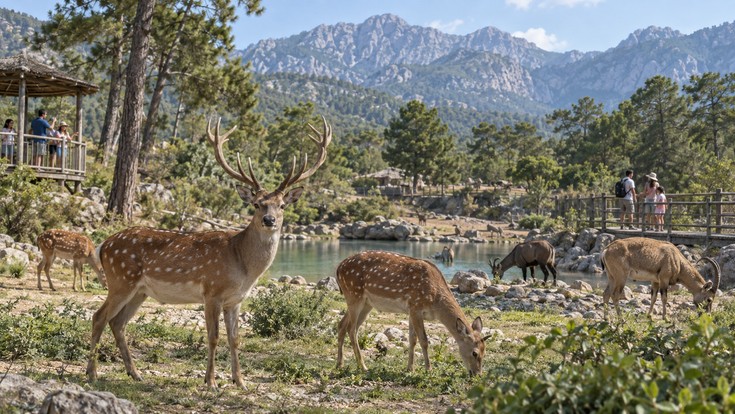 Antalya Hayvanat Bahçesi Tanıtımı