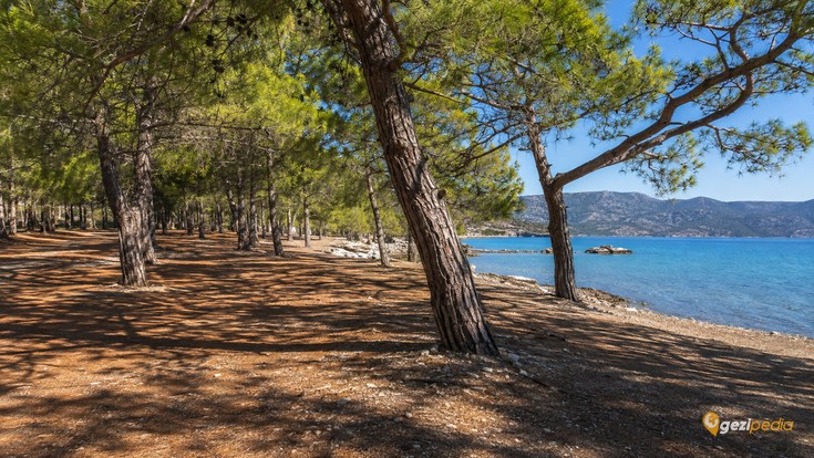 Muğla'da Kamp Yapılacak En İyi 10 Yer