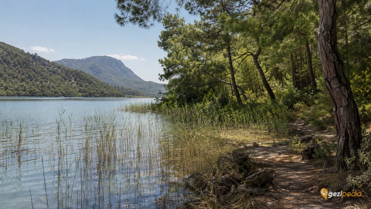 Muğla'da Kamp Yapılacak En İyi 10 Yer