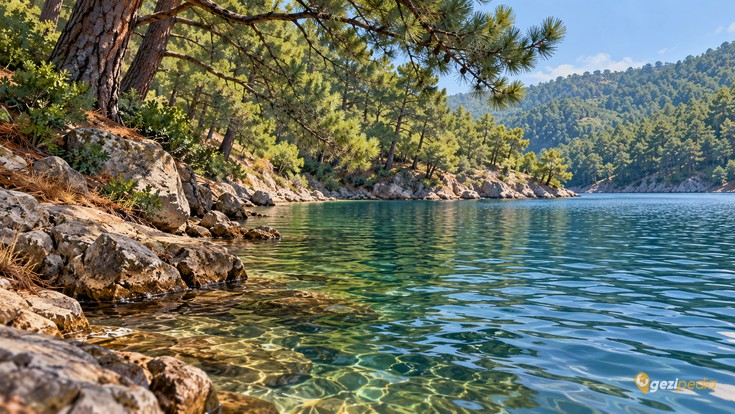 Bozcaarmut Göleti: Nerede, Nasıl Gidilir ve Ziyaret Rehberi